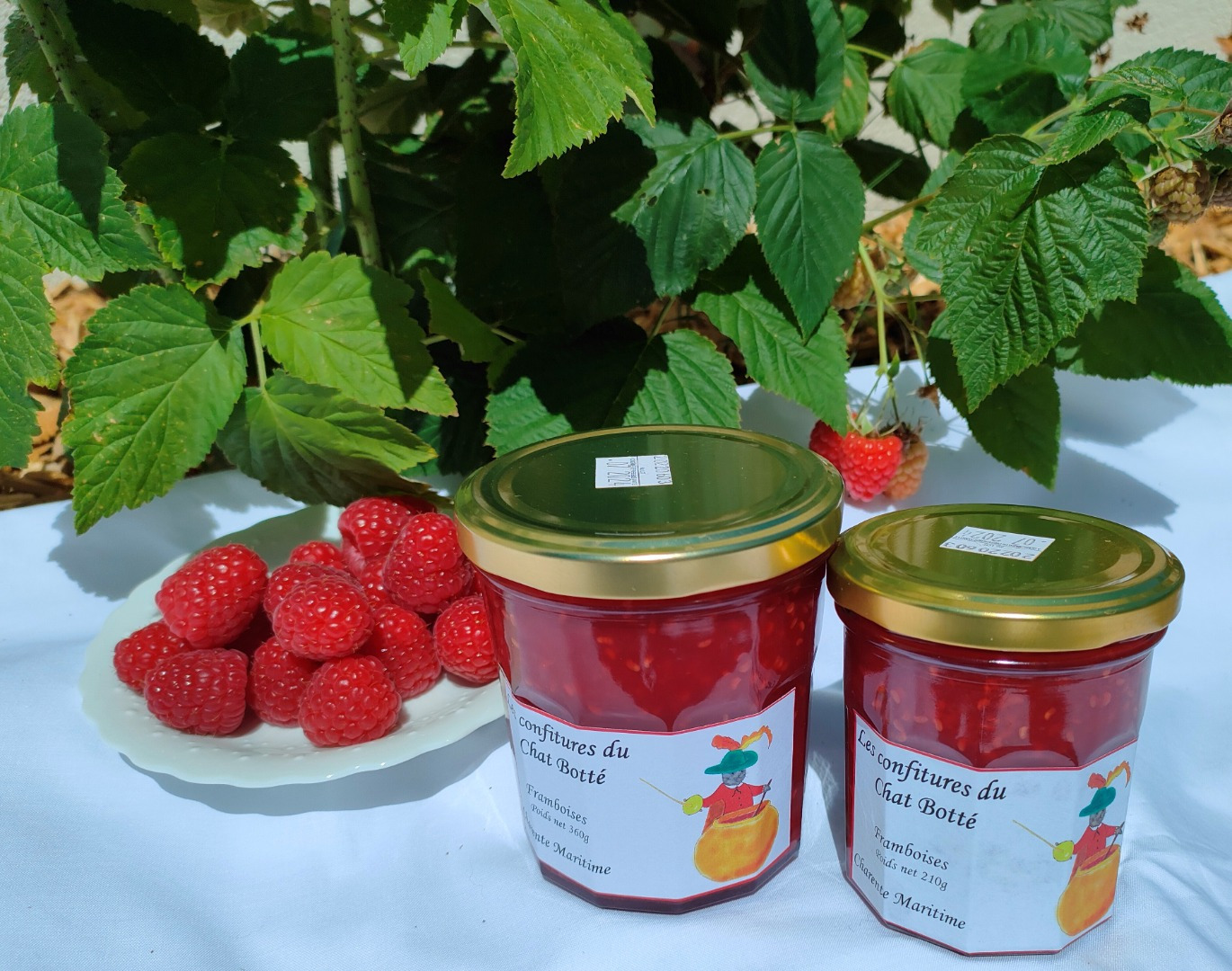 les confitures du Chat Botté - confiture framboise